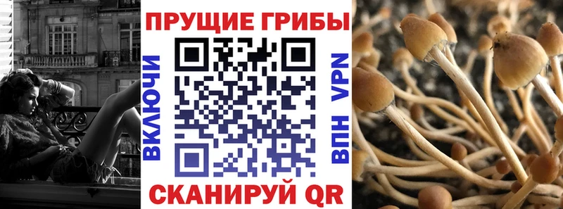 Галлюциногенные грибы MAGIC MUSHROOMS даркнет клад Красный Сулин